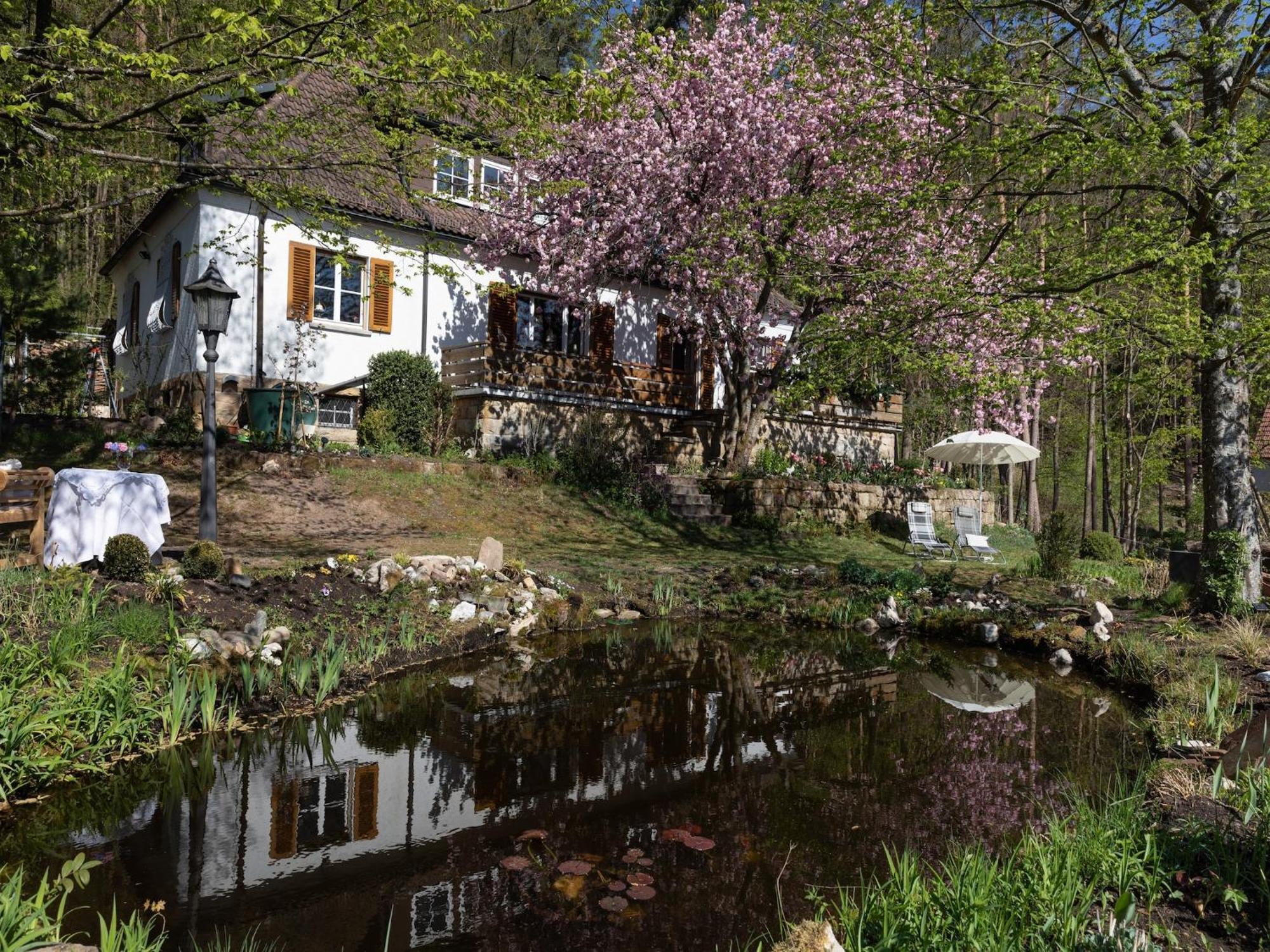 Charming Apartment In Wei Enbrunn Near Forest Weissenbrunn Exterior photo